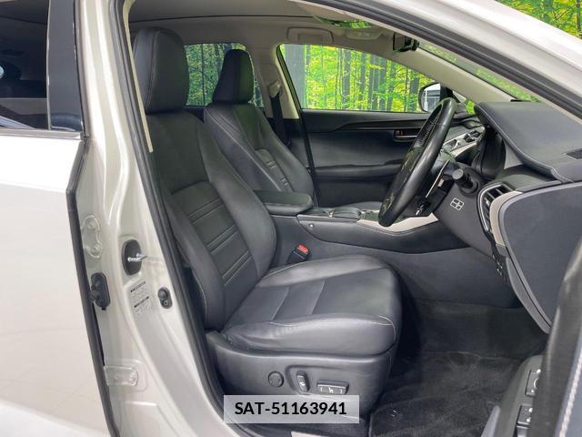 Lexus NX 2018-01 7935941-7