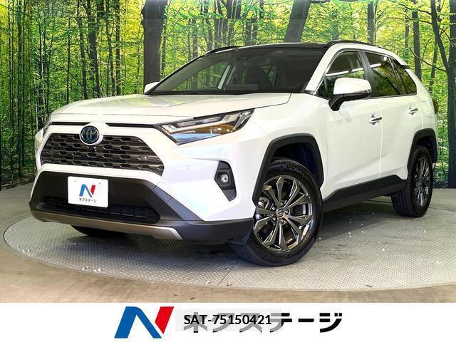 Toyota RAV4 2023-08 7935849-0