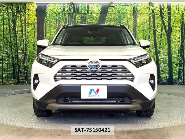 Toyota RAV4 2023-08 7935849-14
