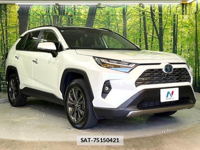 Toyota RAV4 2023-08 7935849-16