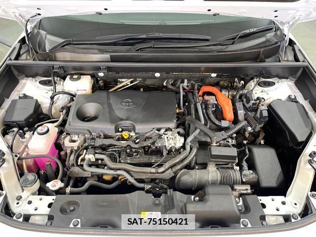 Toyota RAV4 2023-08 7935849-18