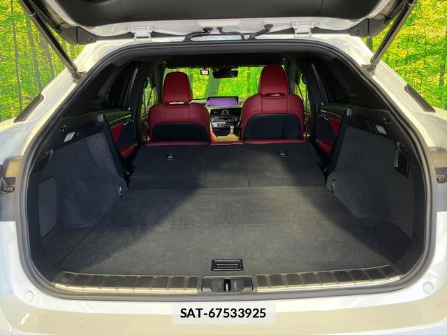 Lexus RX 2016-08 7934180-9