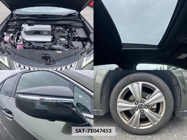 Lexus UX 2023-09 7936824-7