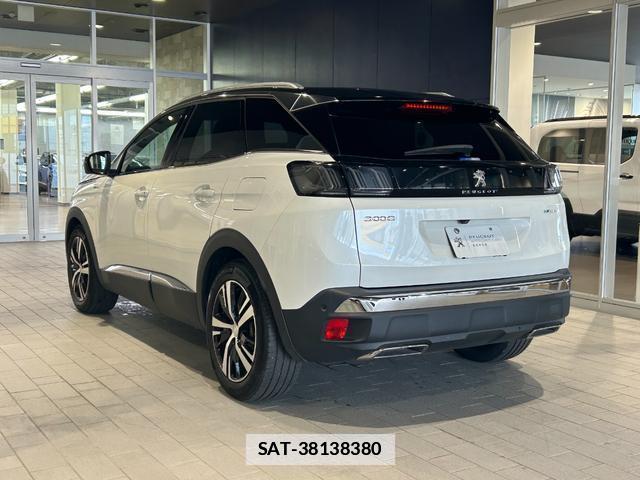 Peugeot 3008 2024-06 7960136-10