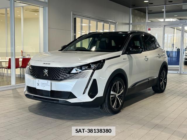 Peugeot 3008 2024-06 7960136-12