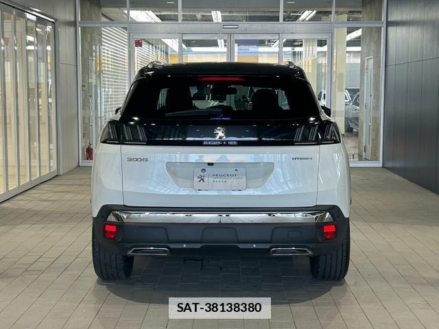 Peugeot 3008 2024-06 7960136-9