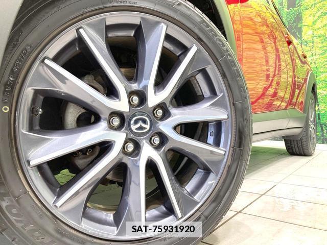 Mazda CX-3 2016-12 7959781-12