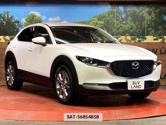 Mazda CX-30 2023-03 7959433-15