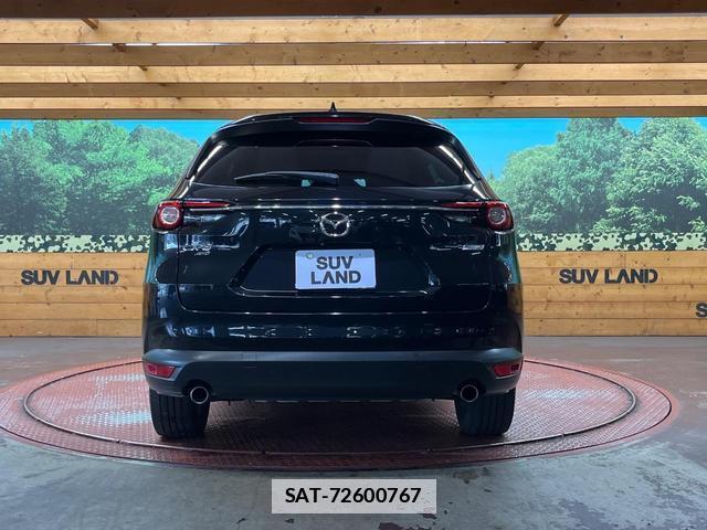 Mazda CX-8 2019-03 7961658-15