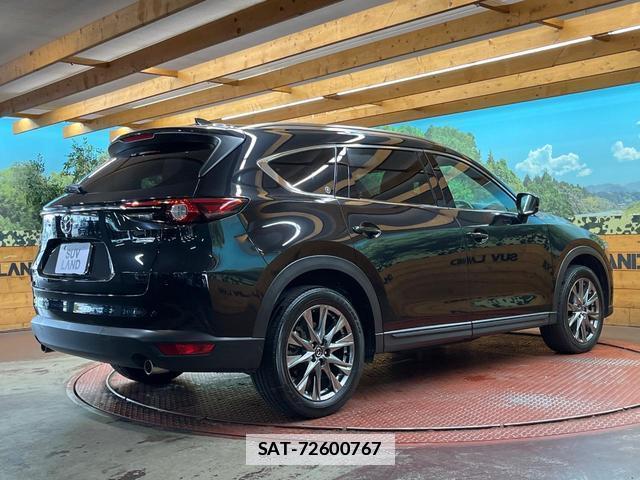Mazda CX-8 2019-03 7961658-17
