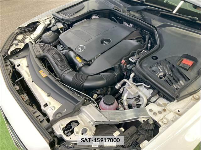 Mercedes Benz E-CLASS 2022-01 7960225-11