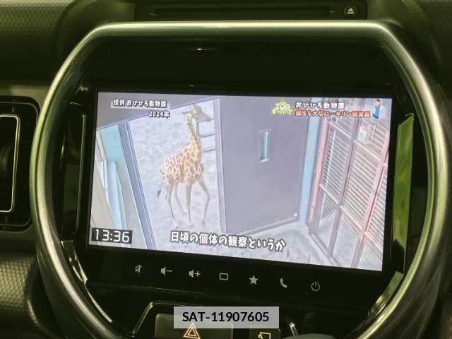 Suzuki HUSTLER 2021-11 7962974-12