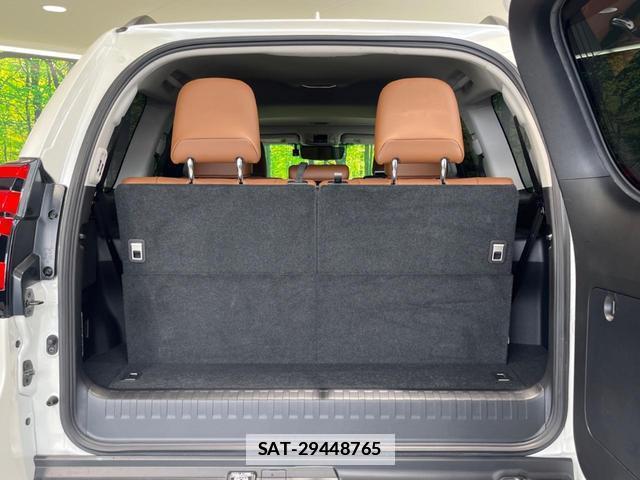 Toyota LAND CRUISER PRADO 2022-06 7959814-10
