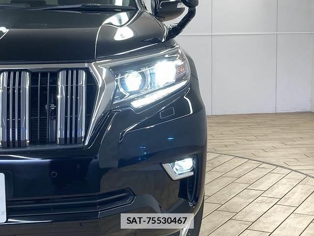 Toyota LAND CRUISER PRADO 2021-09 7960043-19
