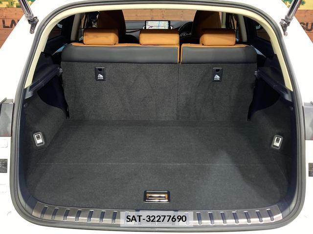 Lexus NX 2021-04 7959434-10