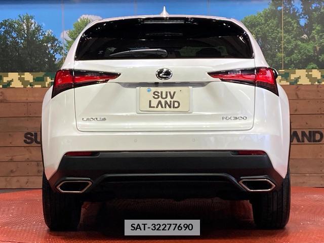 Lexus NX 2021-04 7959434-14