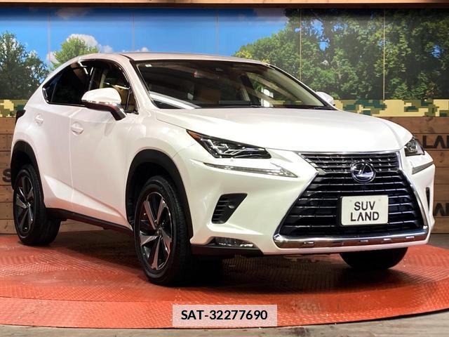 Lexus NX 2021-04 7959434-15