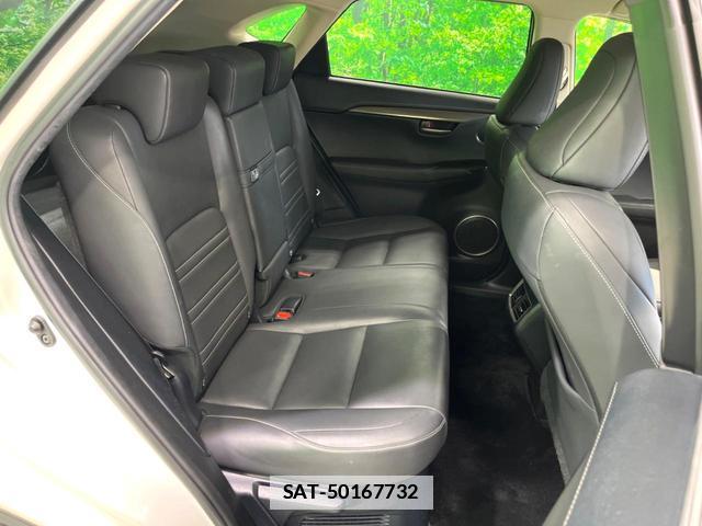 Lexus NX 2017-08 7959676-10