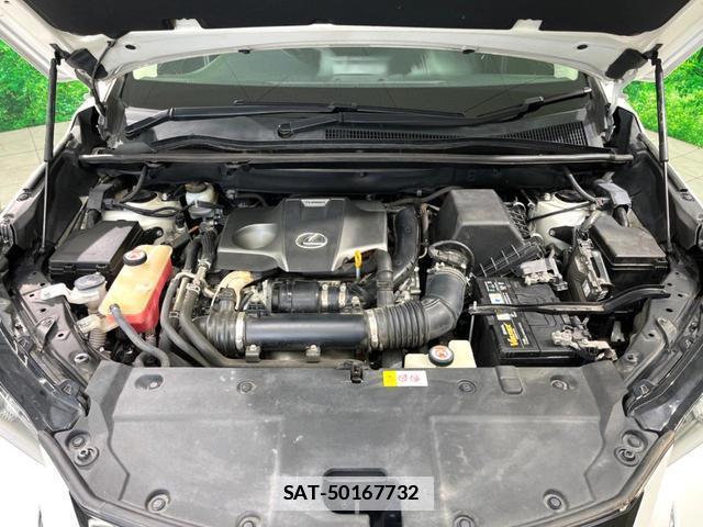 Lexus NX 2017-08 7959676-17