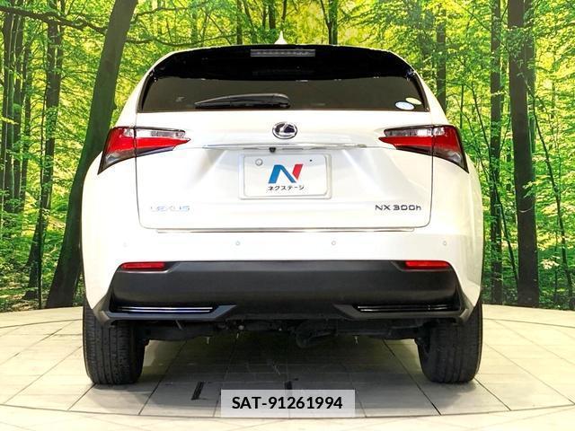 Lexus NX 2015-07 7959773-14