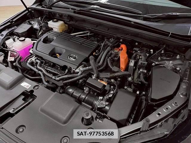 Lexus NX 2022-05 7960056-13
