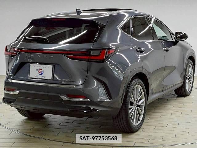 Lexus NX 2022-05 7960056-15
