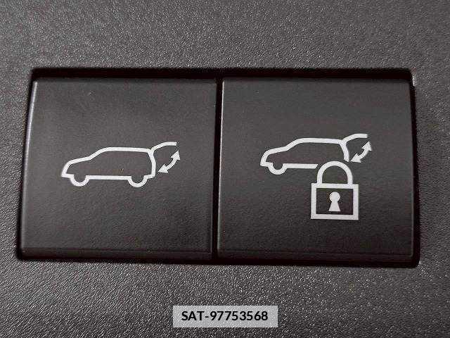 Lexus NX 2022-05 7960056-6