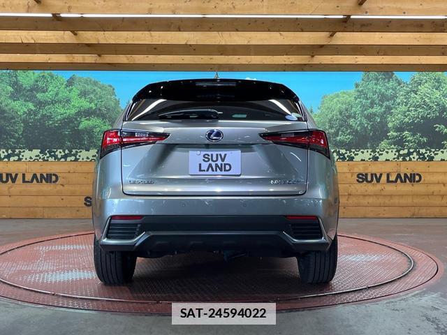 Lexus NX 2018-01 7961666-14