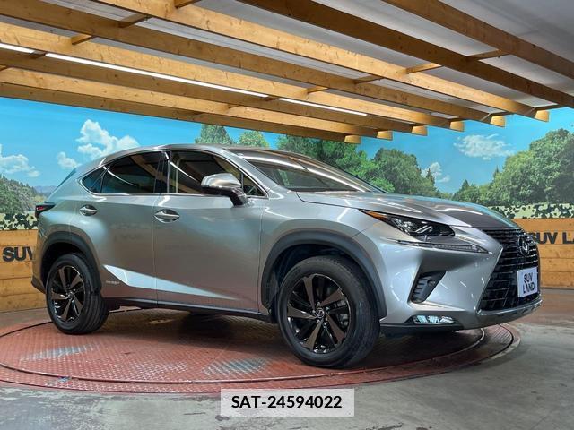 Lexus NX 2018-01 7961666-15