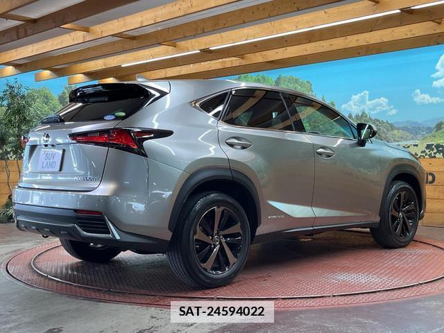 Lexus NX 2018-01 7961666-16
