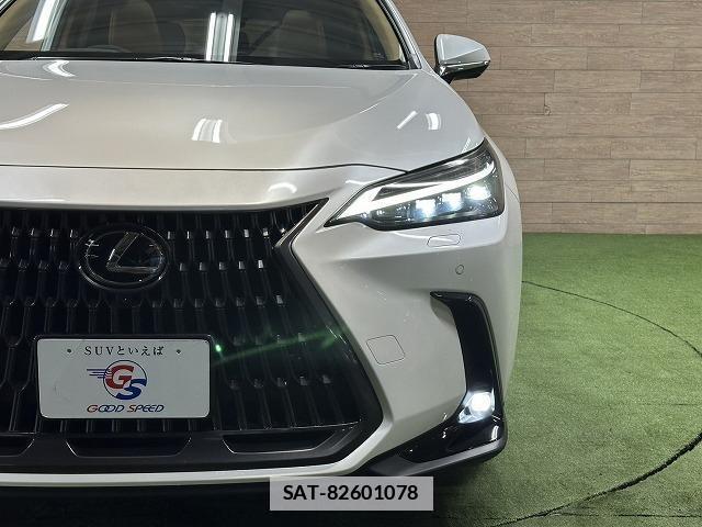 Lexus NX 2023-11 7961995-18