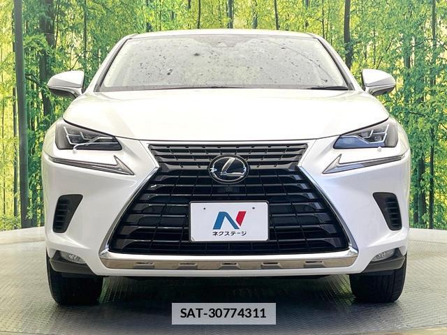 Lexus NX 2020-11 7962158-13