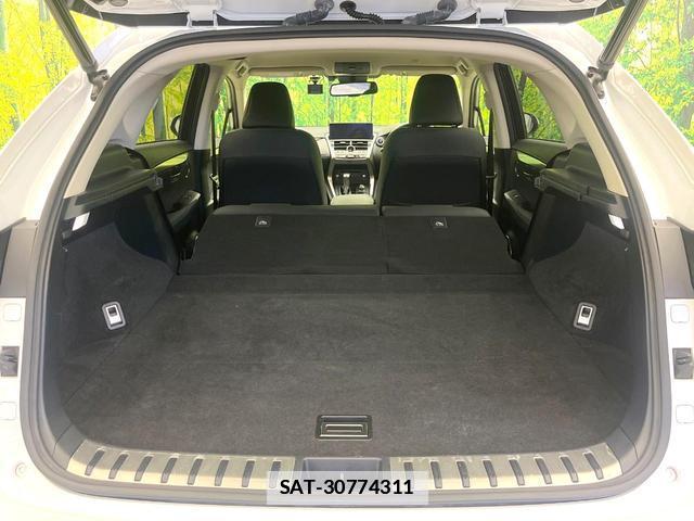 Lexus NX 2020-11 7962158-9