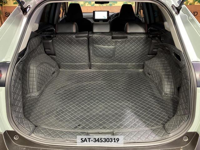 Toyota RAV4 2024-11 7959438-10