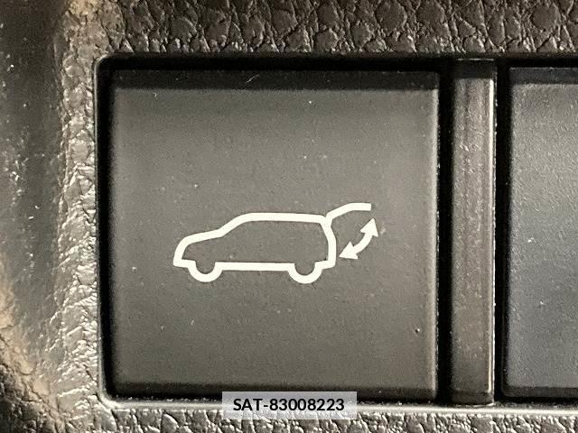 Toyota RAV4 2020-01 7960038-8