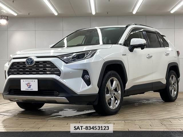 Toyota RAV4 2019-06 7960040-13