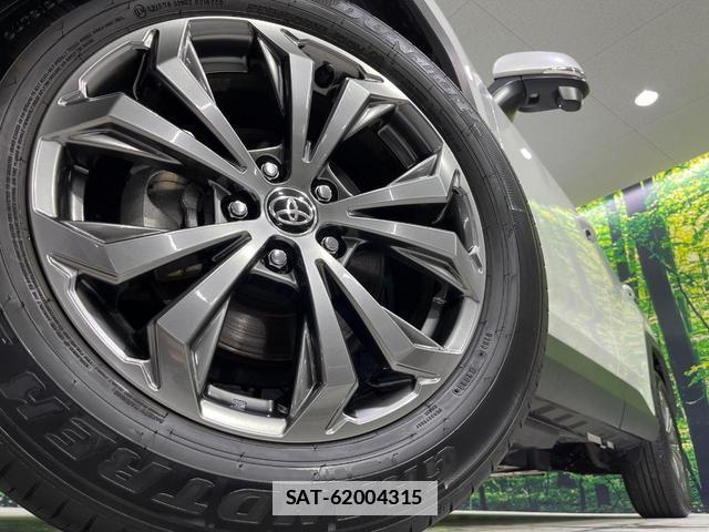 Toyota RAV4 2024-06 7960766-12