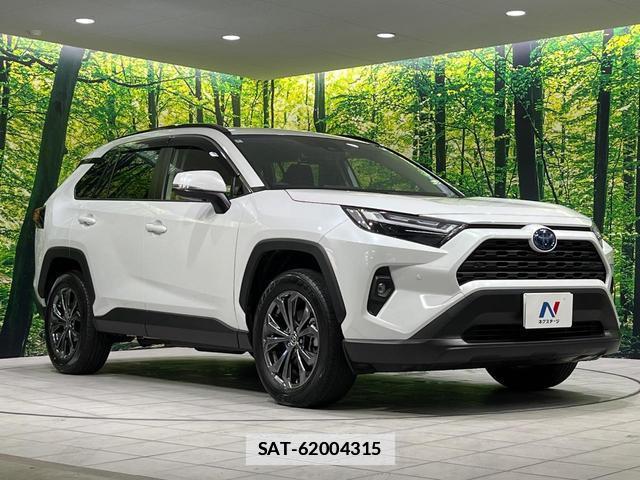 Toyota RAV4 2024-06 7960766-15