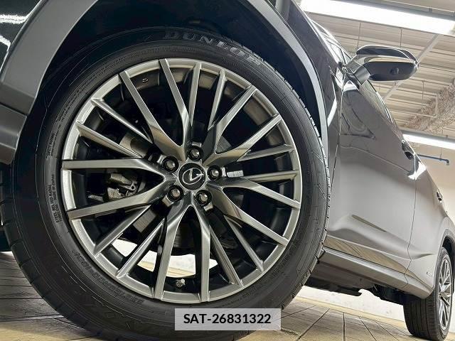 Lexus RX 2020-01 7960058-13