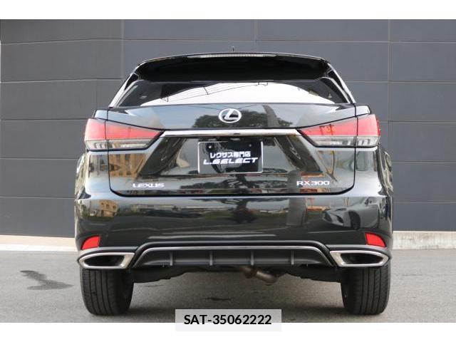 Lexus RX 2020-02 7960213-15