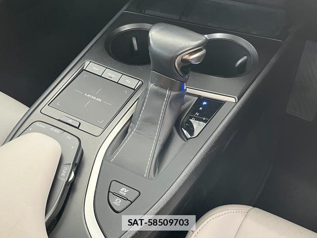 Lexus UX 2019-11 7959987-14