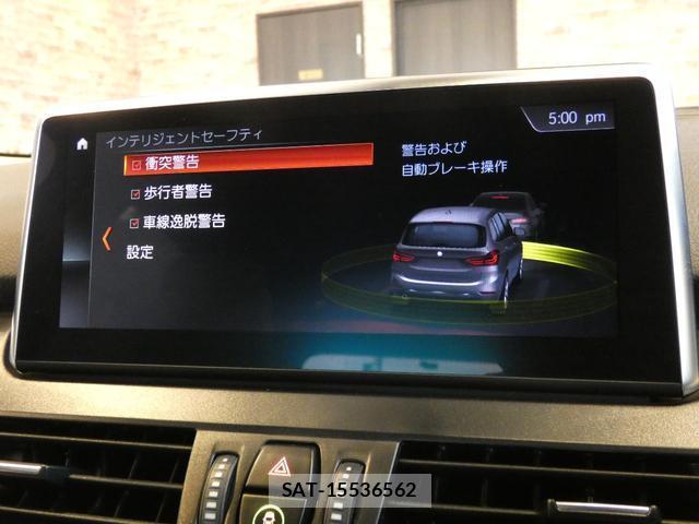 Bmw 2 SERIES 2019-11 8011882-11