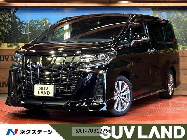 Toyota ALPHARD 2022-11 8003895-0