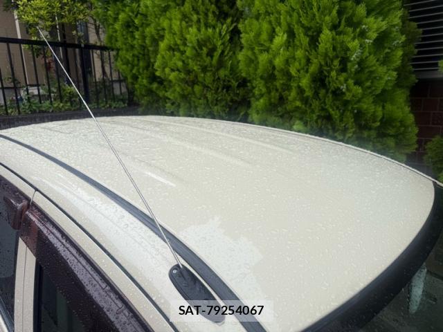 Suzuki ALTO 2012-06 8005243-13