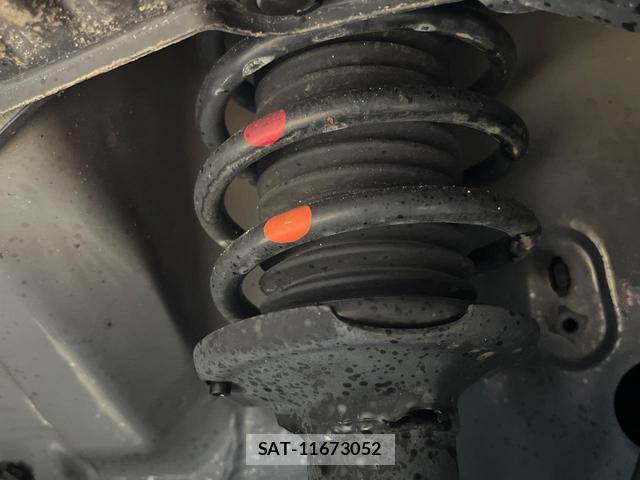 Suzuki LAPIN 2022-11 8004617-19