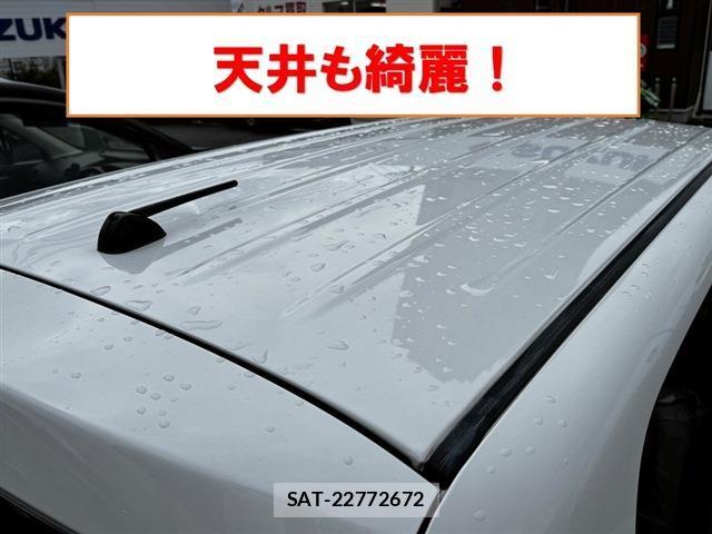 Suzuki LAPIN 2021-01 8003856-9