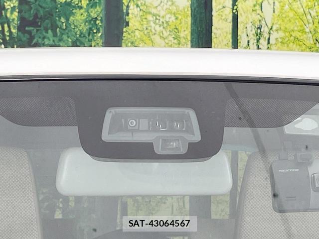 Suzuki LAPIN 2019-10 8005753-3