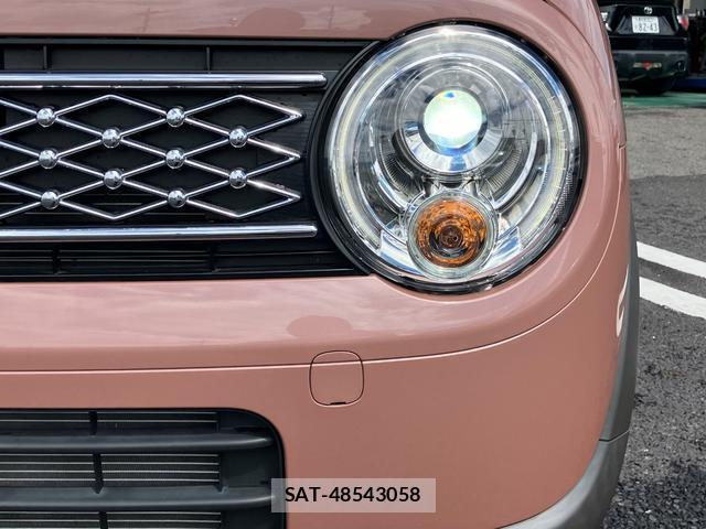Suzuki LAPIN 2022-10 8007294-12