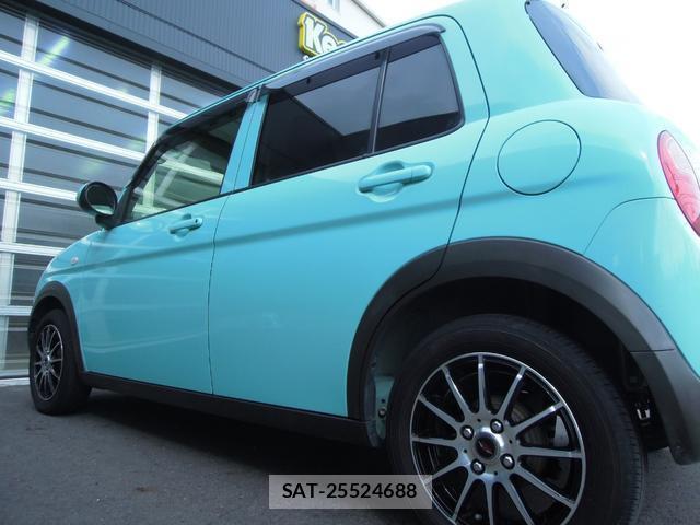 Suzuki LAPIN 2015-06 8007911-8