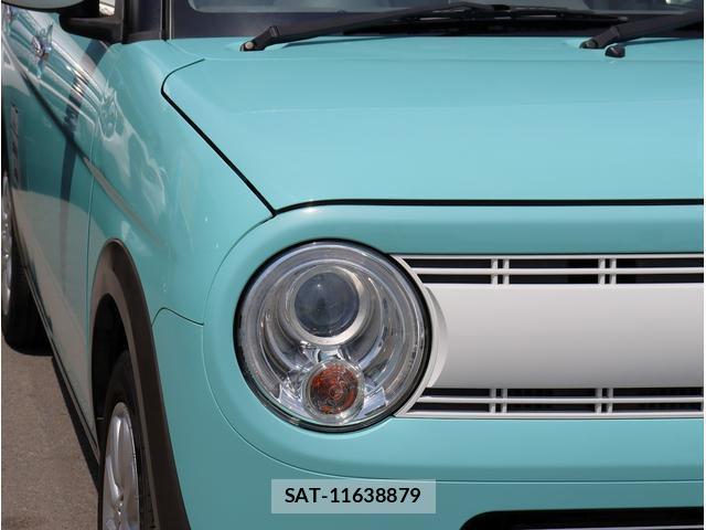 Suzuki LAPIN 2015-11 8008419-11